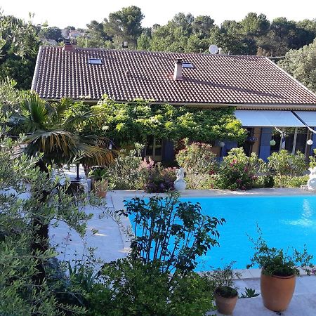 Villa La Licorne Piscine Privee, Jacuzzi, Massages, Tennis, Golf A 9Km Belcodene Exterior foto