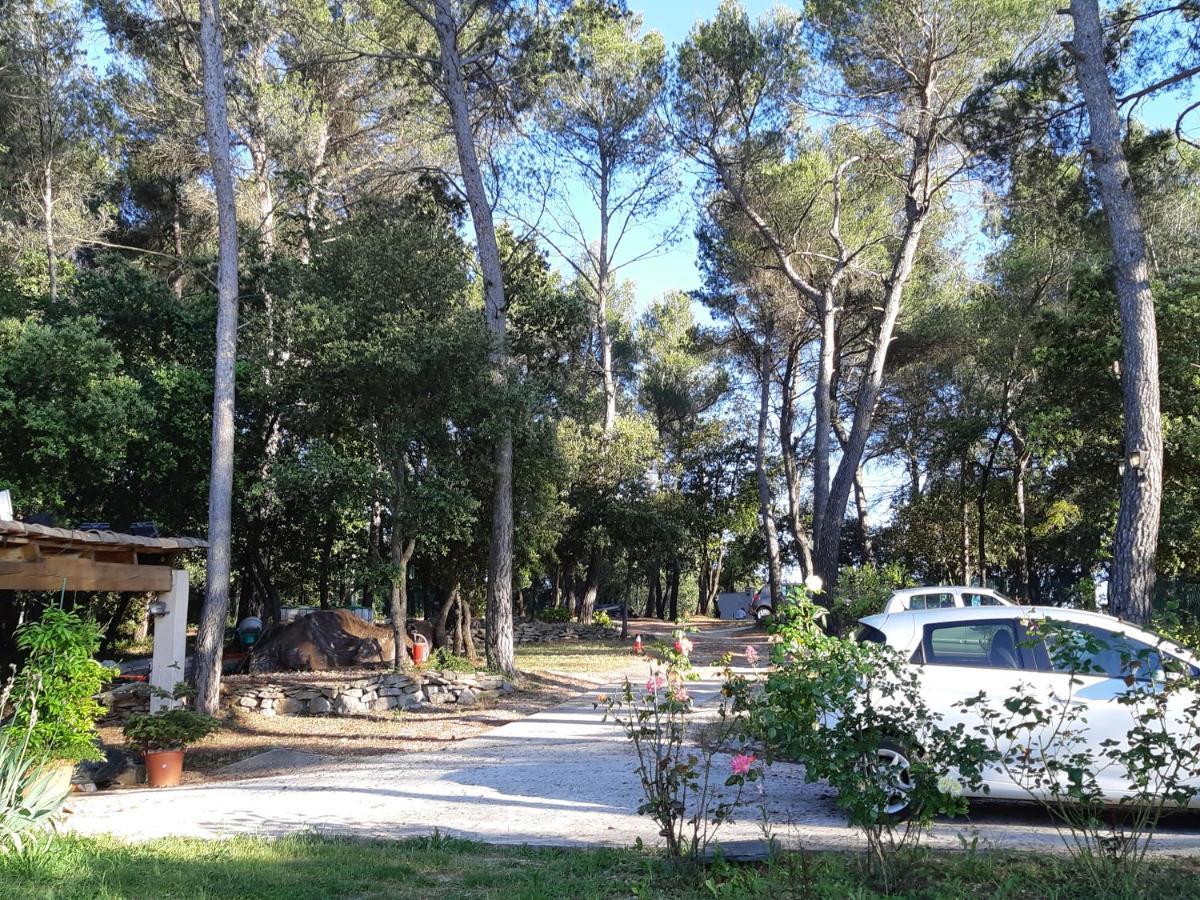 Villa La Licorne Piscine Privee, Jacuzzi, Massages, Tennis, Golf A 9Km Belcodene Exterior foto